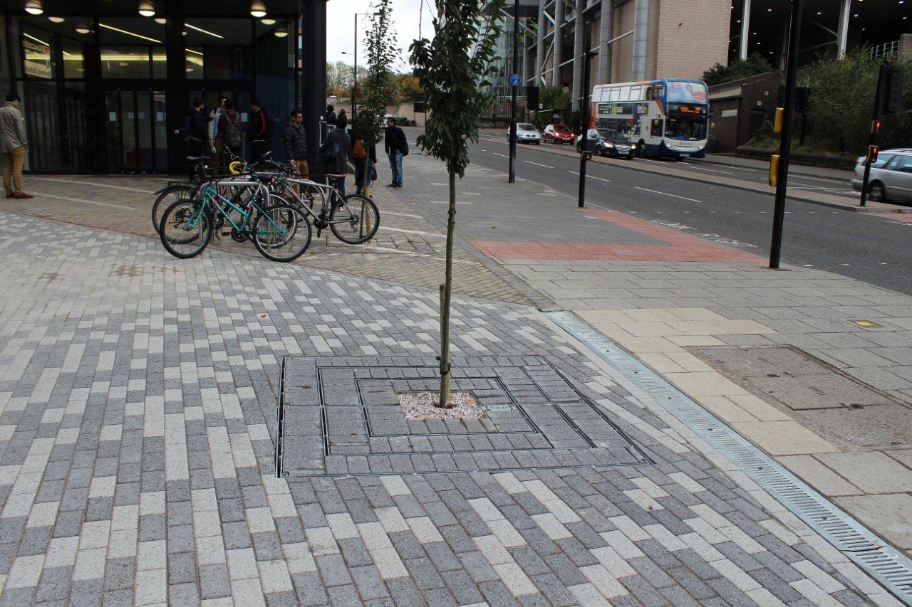Urban Tree Support is innovative solution