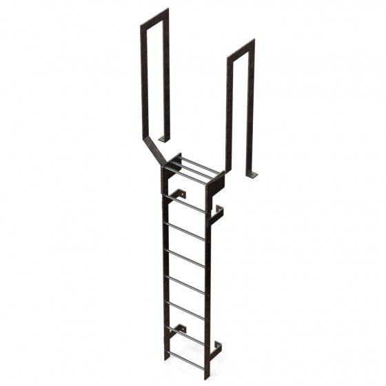 Industrial Steel Access Ladder